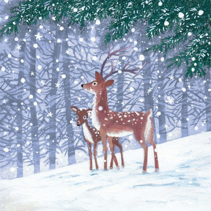 Morning Snow Boxed Holiday Cards