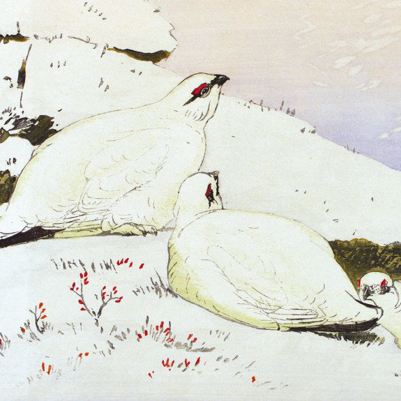 Winter Woodcuts Boxed Holiday Cards