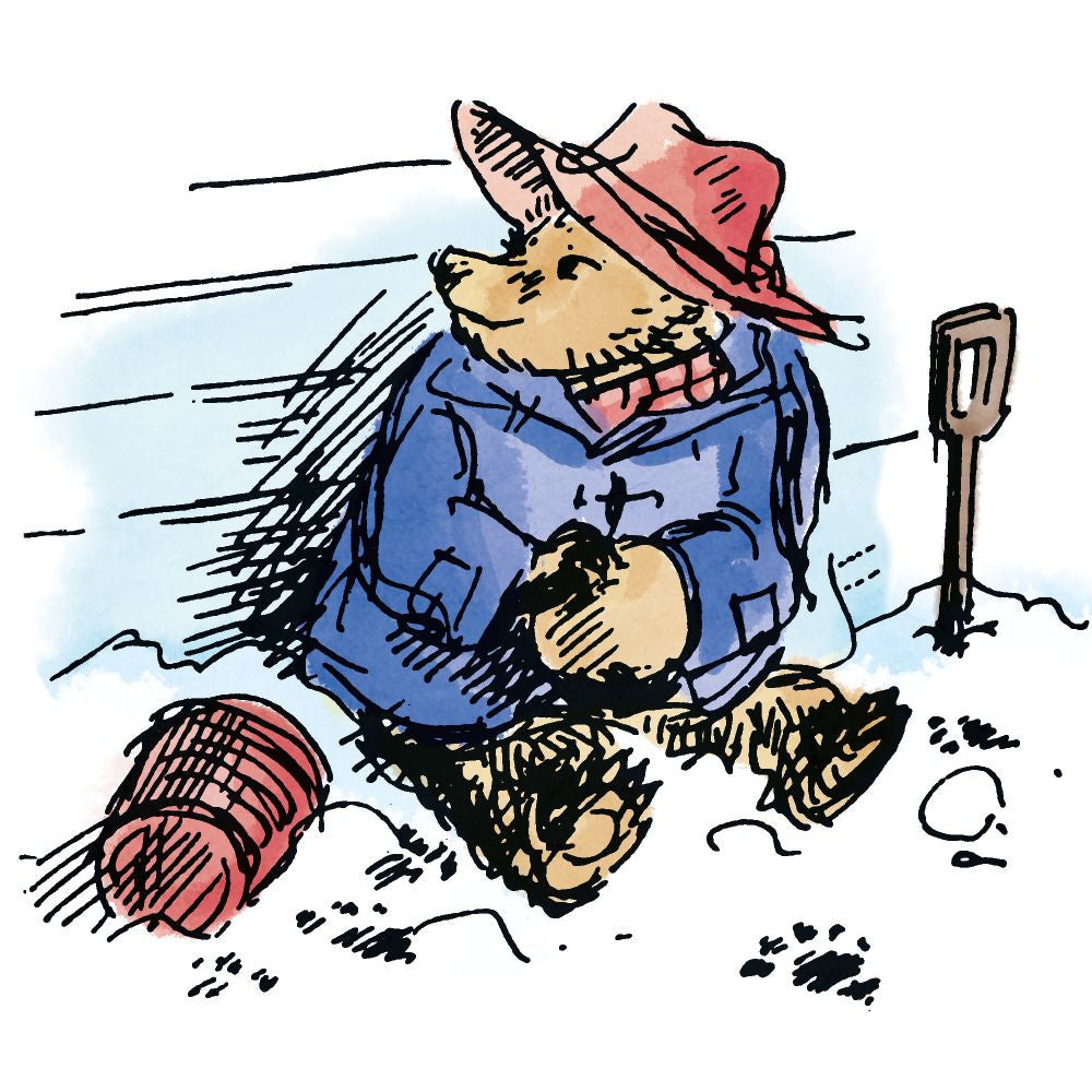 Paddington In The Snow Boxed Holiday Cards