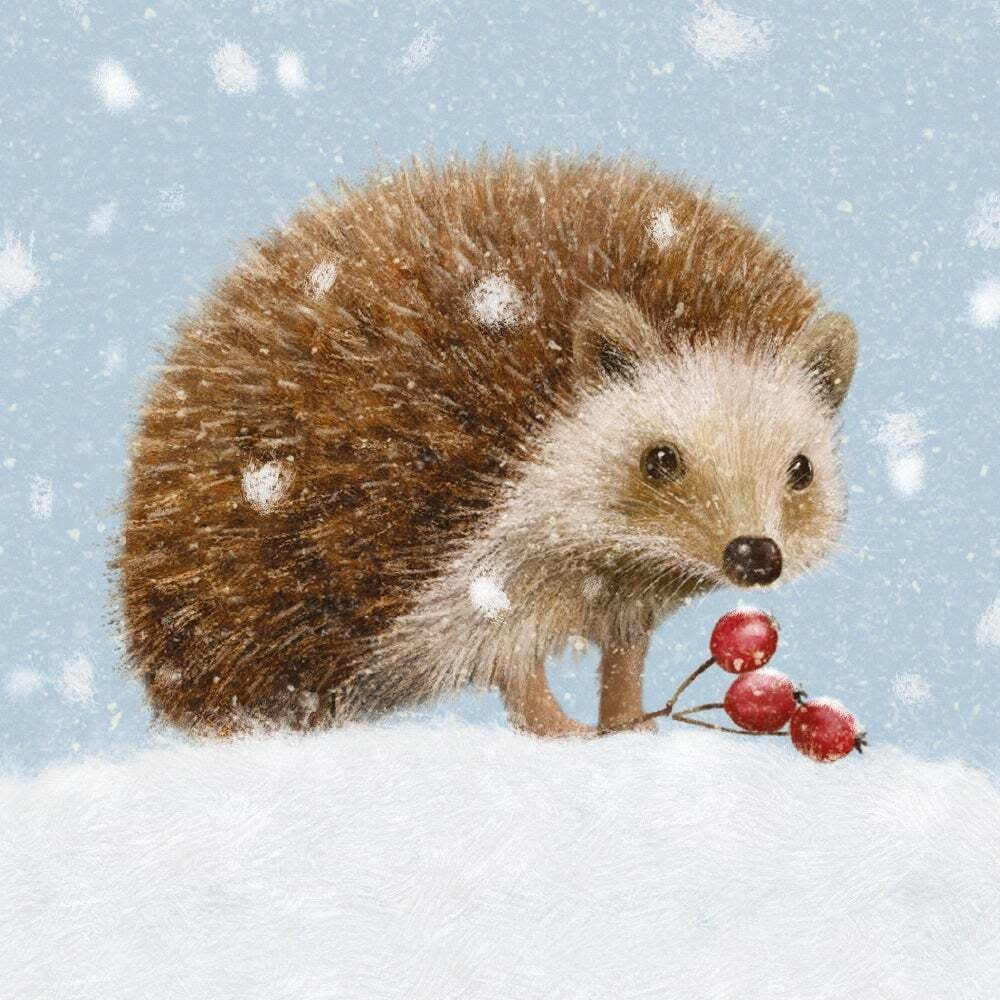 Little Hedgehog Boxed Holiday Cards