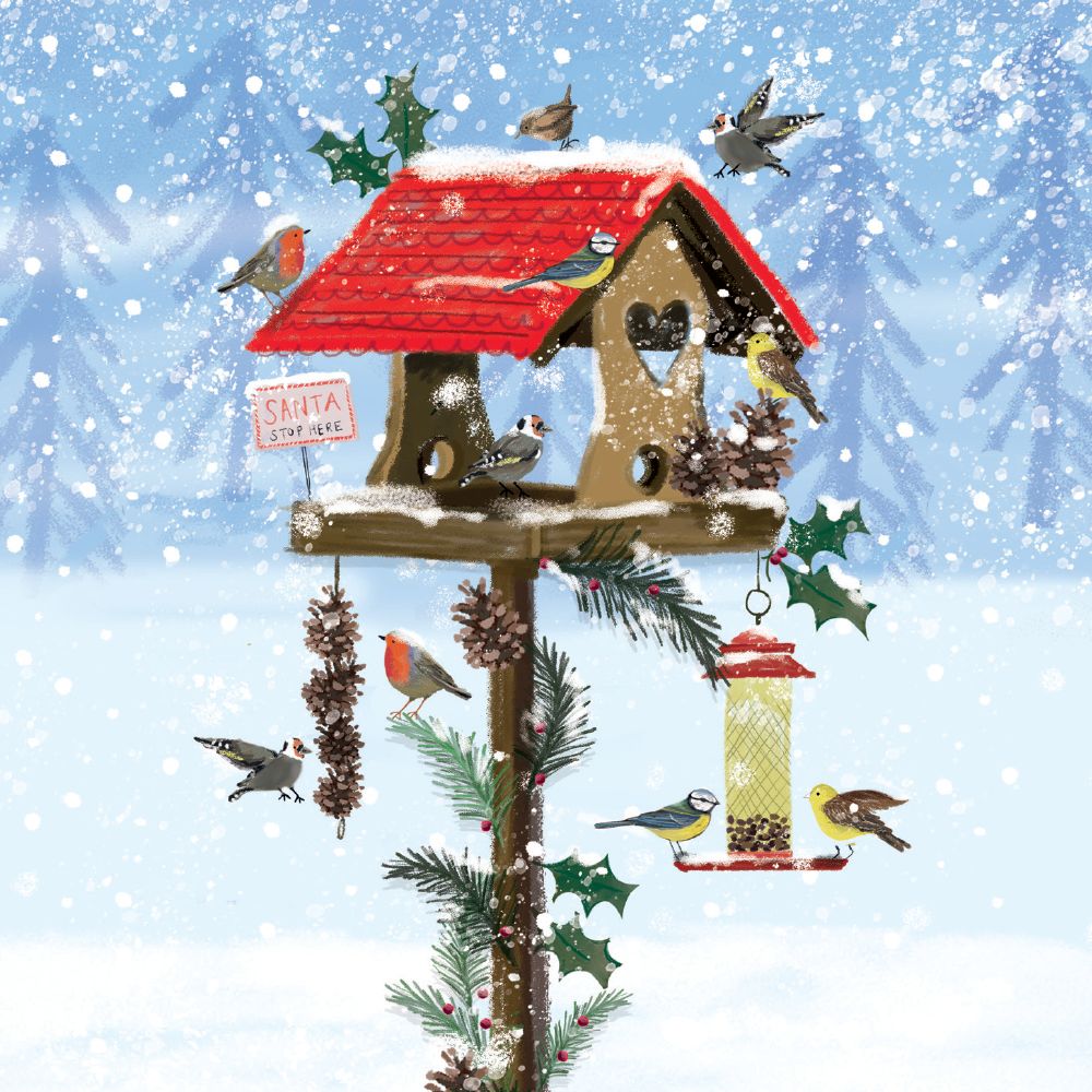 Festive Bird House Boxed Holiday Cards