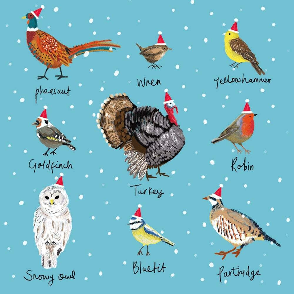 Festive Birds Boxed Holiday Cards