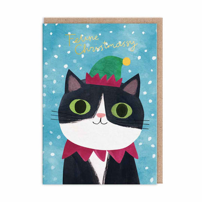 Cats In Hats Boxed Holiday Cards