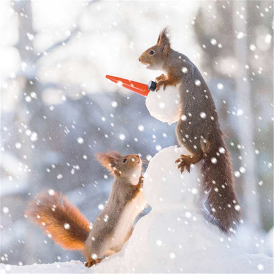 Squirrel Making Snowman Pack of 8 Cards