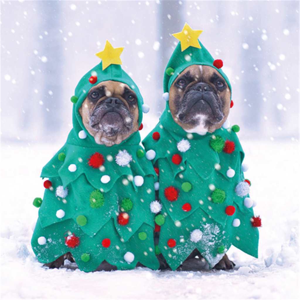 French Bulldog in Christmas Tree Outfits  Pack of 8 Cards