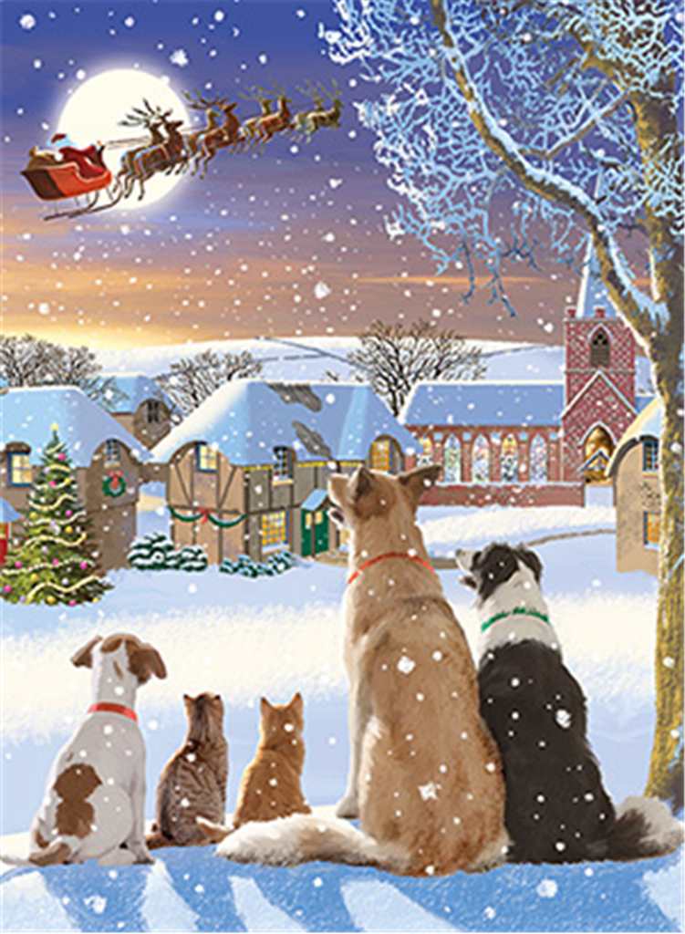 Dogs & Cats Watching Santa Christams Pack Note Cards