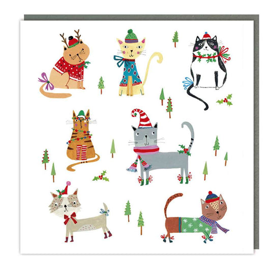 Cats Deck Up Pack of 5 Cards