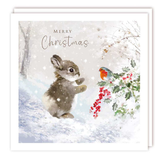 Bunny and Bird Christmas Boxed Cards