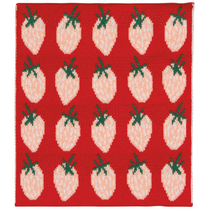 Berry Sweet  Knit Dishcloth Set of 3
