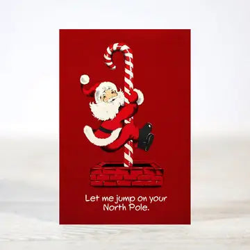 Mini 12 Days of Dirty & Flirty Christmas Boxed Cards