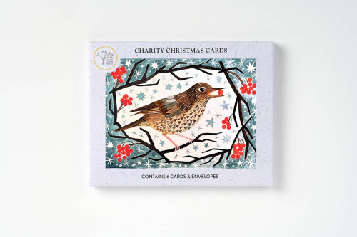 Song Thrush With Berries Boxed Holiday Cards
