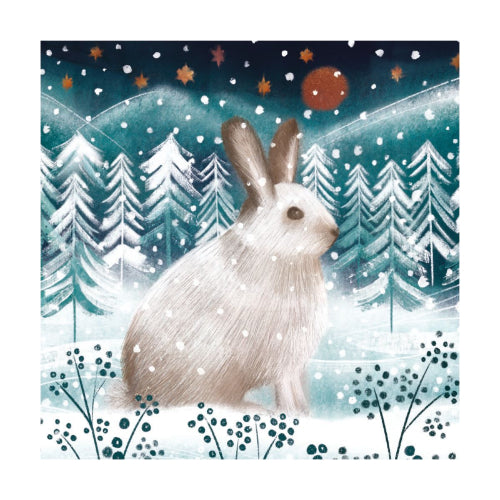 Arctic Hare Boxed Holiday Cards