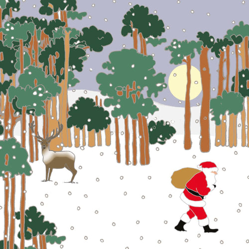 Delivering Presents Boxed Holiday Cards