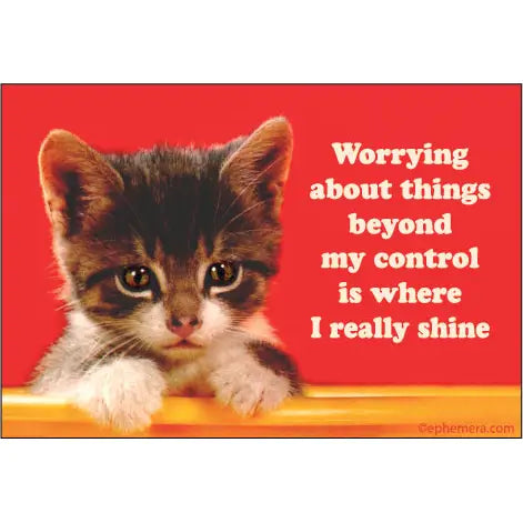 Worrying About Things Beyond My Control Magnet