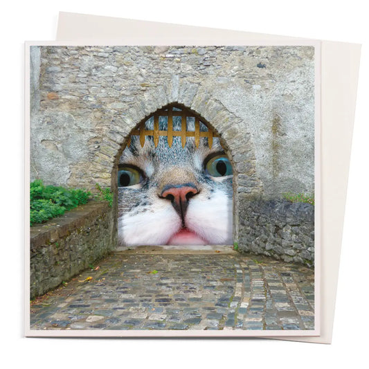 Paw'tcullis Card