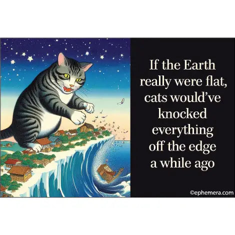 If The Earth Really Were Flat Magnet