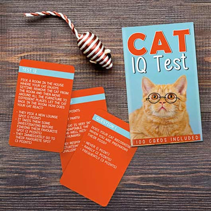 Cat IQ Test Game