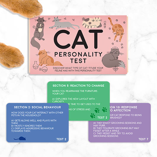 Cat Pet Personality Test Game