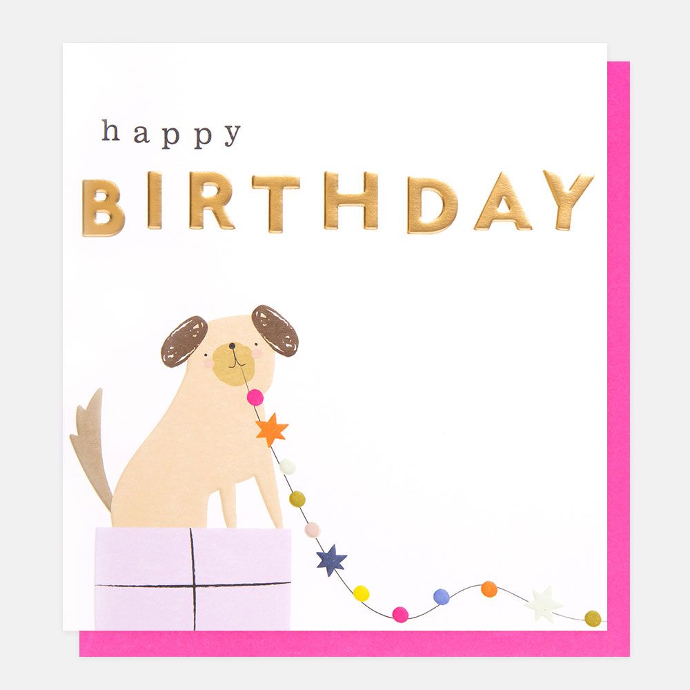 Happy Birthday, Dog And Gift Card