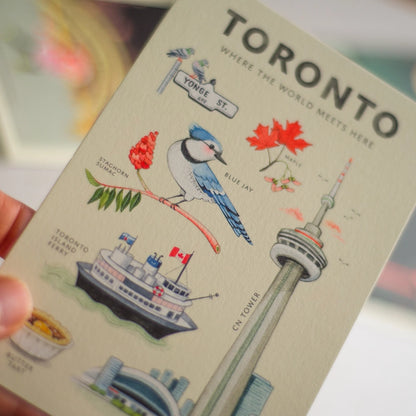 Toronto Icons: Blue Jay Postcard