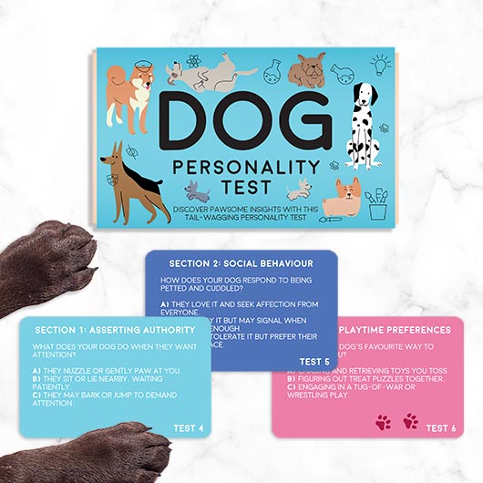 Dog Pet Personality Test Game