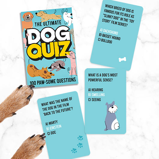 Dog Quiz Pet Game