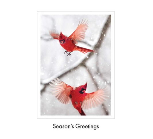 Pair of Red Robins Boxed Christmas Cards