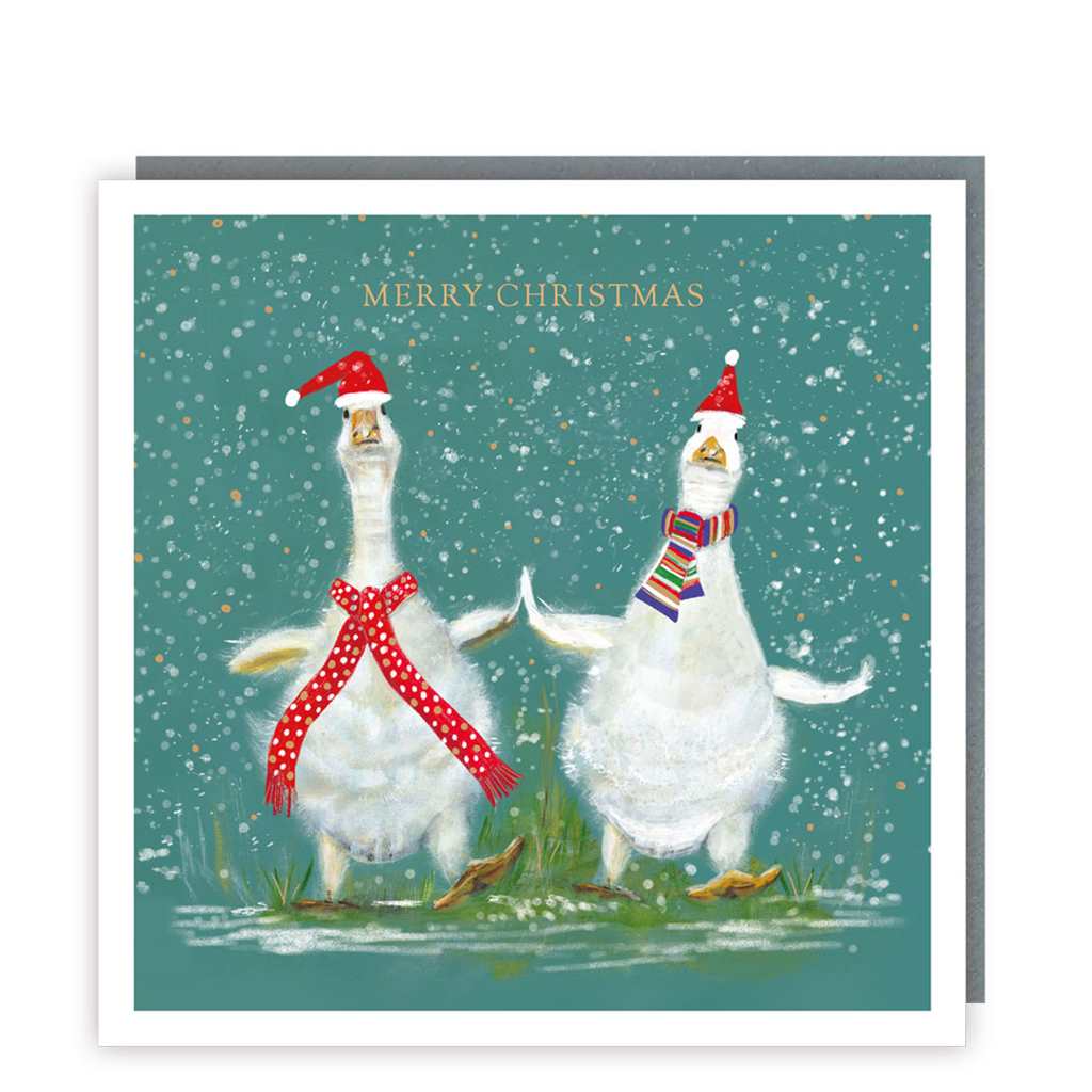 Ducks in the Snow Christmas Boxed Cards