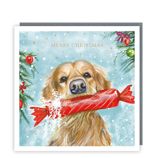 Dog with Cracker Christmas Boxed Cards