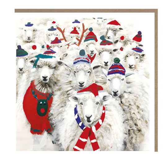 Herd of Holiday Sheeps Christmas Boxed Cards