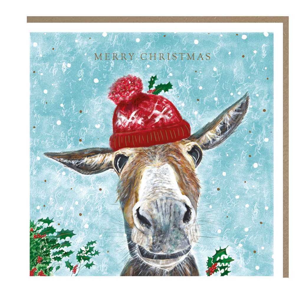 Donkey Christmas Boxed Cards