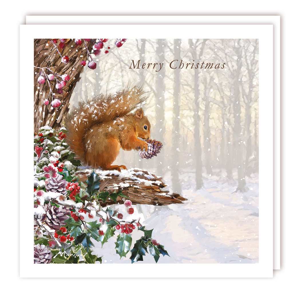 Squirrel in a Winter Forest Christmas Boxed Cards