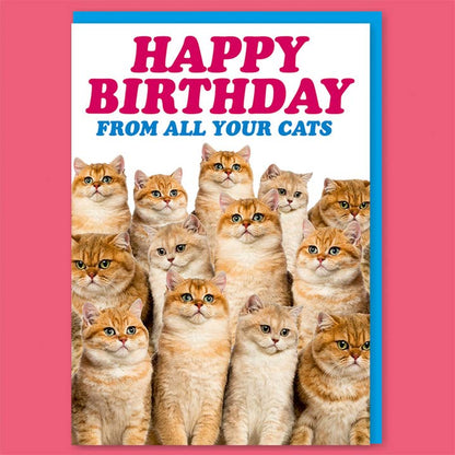 Happy Birthday From All Your Cats Greeting Card