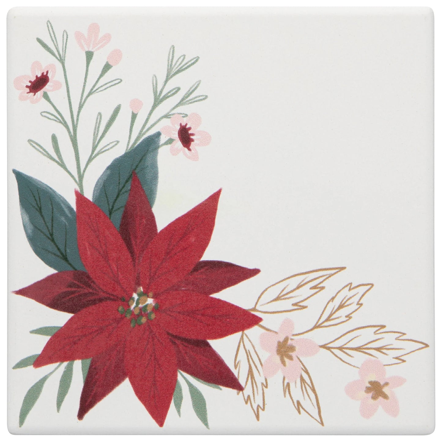 Soak Up Coaster Amaryllis