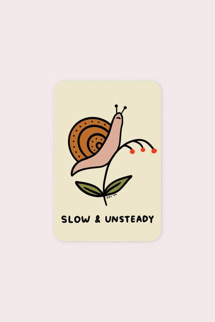 S133 Slow and Unsteady Vinyl Sticker