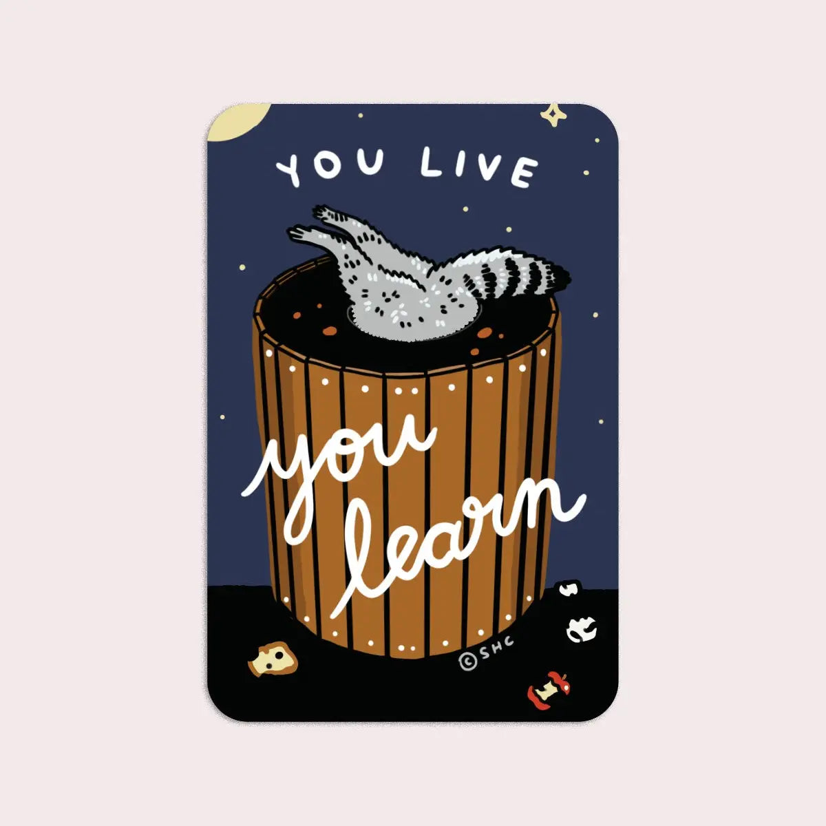 S59 You Live You Learn Vinyl Sticker