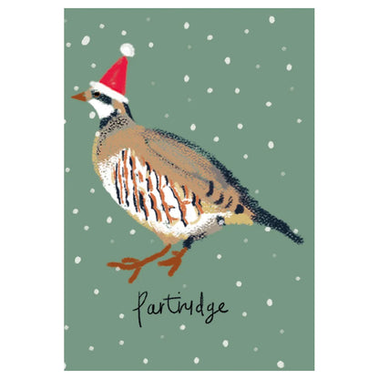 Festive Birds Mini Boxed Holiday Cards