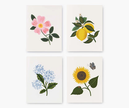 Botanical Blossom Assorted Boxed Cards