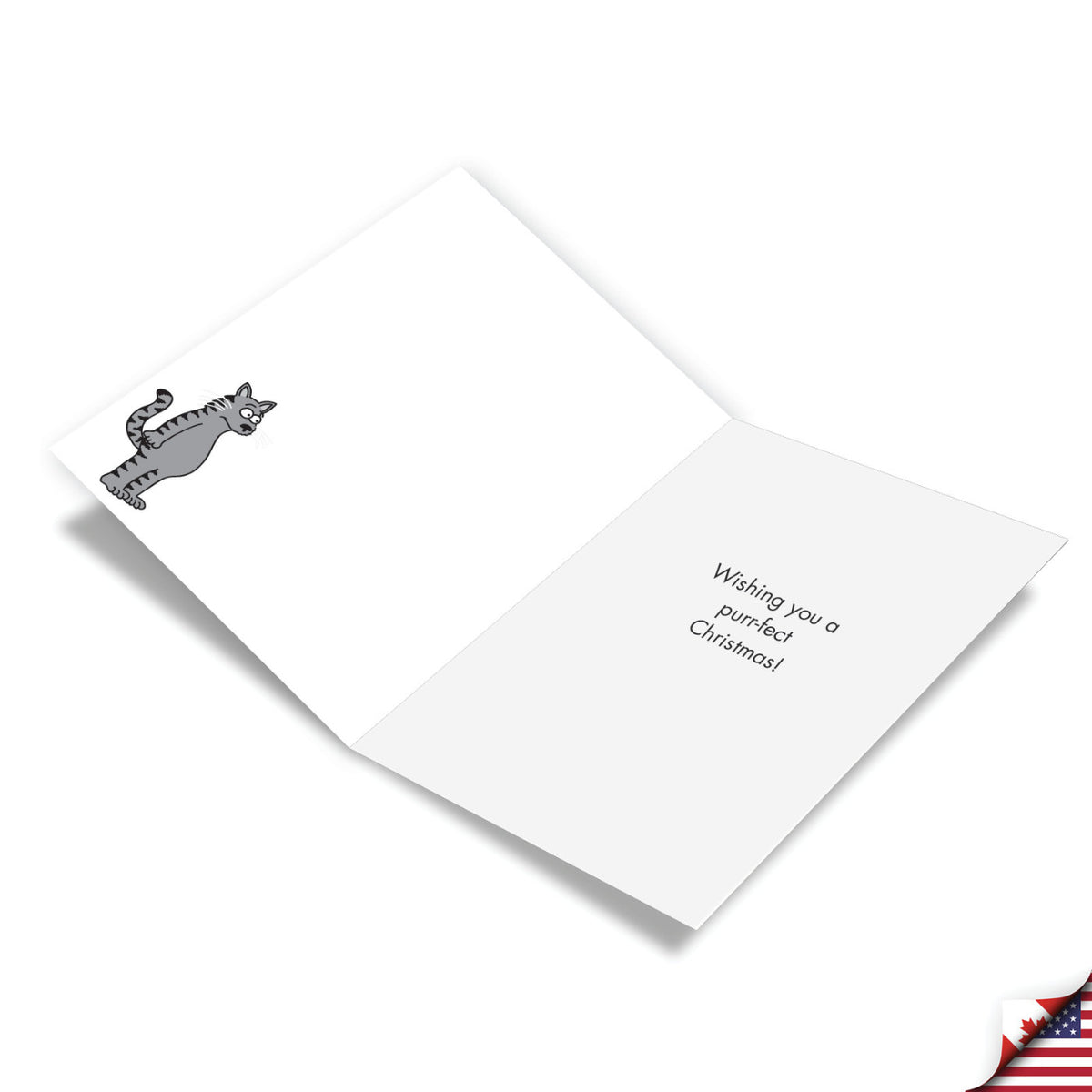 Cat Wrap Christmas Card