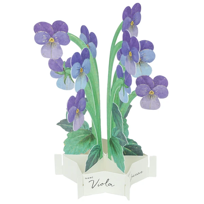Pop-up 360 Mini Blooming Card Viola