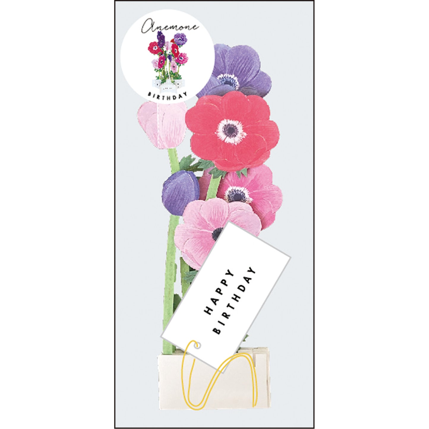 Pop-up 360 Blooming Card Anemone