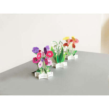 Pop-up 360 Blooming Card Pink Ranunculus