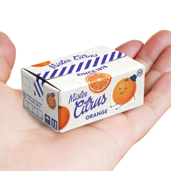Decoration Haco Stickers Orange