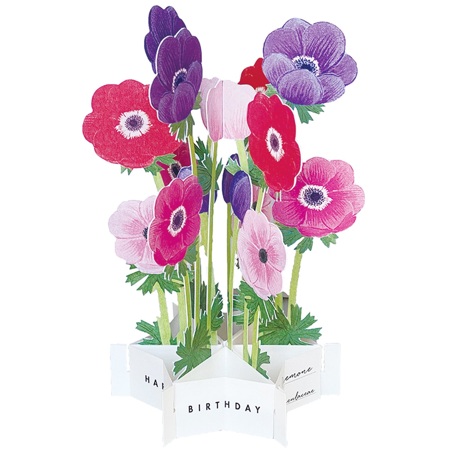 Pop-up 360 Blooming Card Anemone