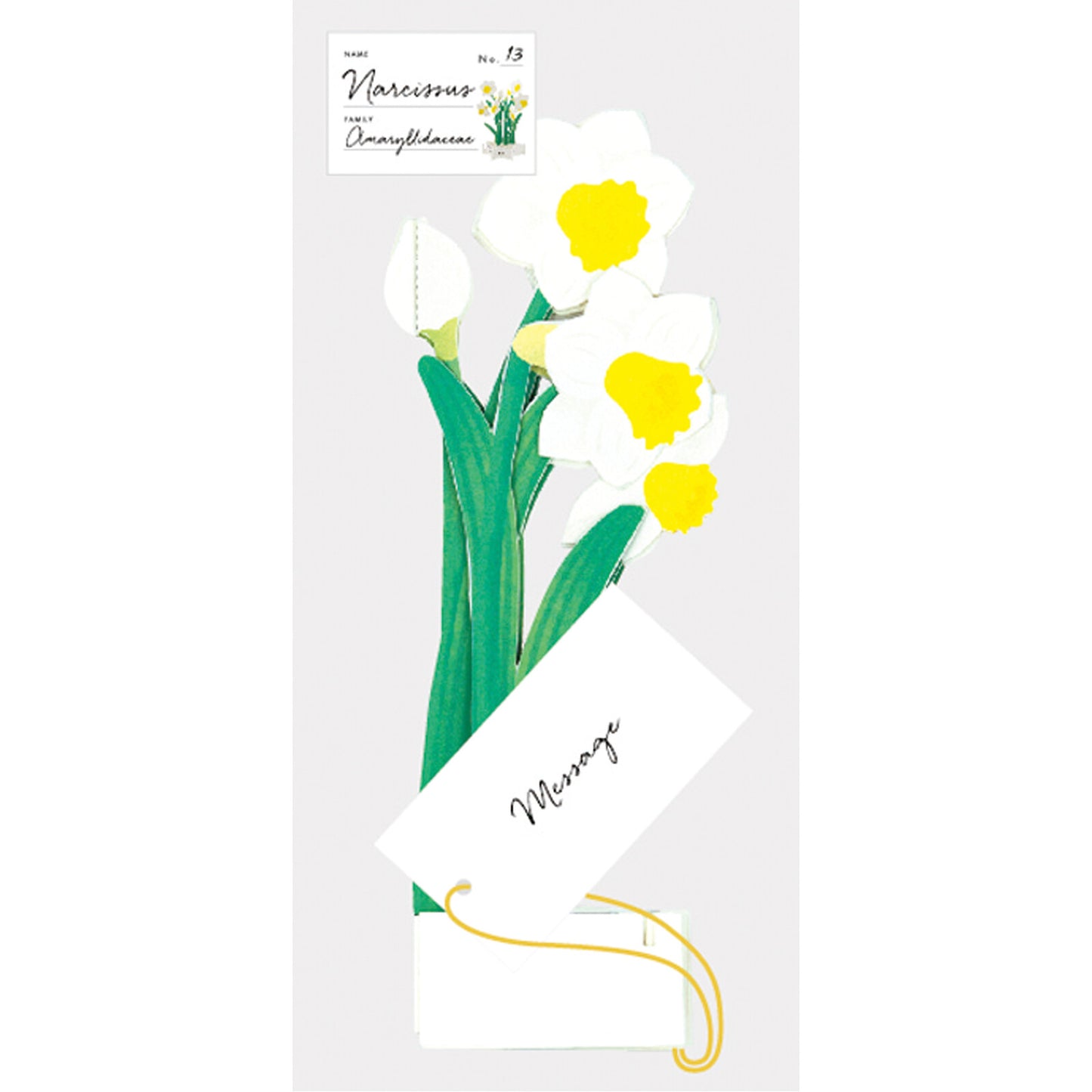 Pop-up 360 Blooming Card Daffodil