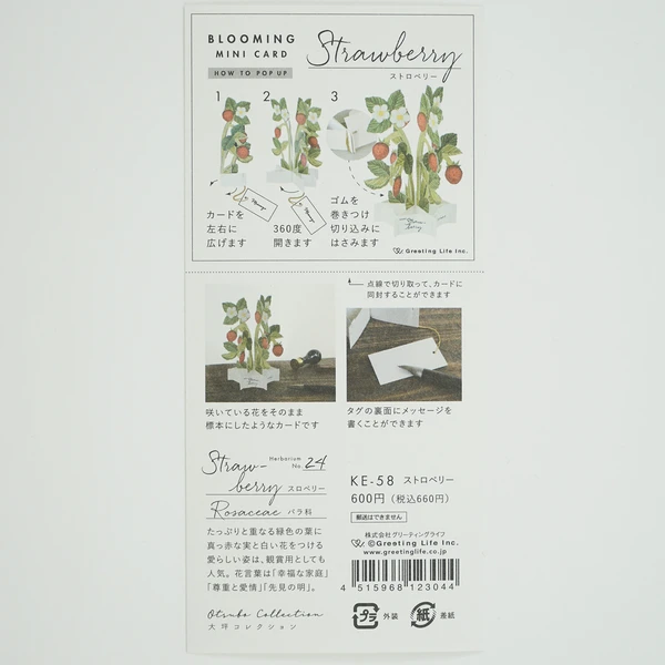 Pop-up 360 Mini Blooming Card Strawberry