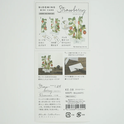 Pop-up 360 Mini Blooming Card Strawberry