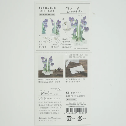 Pop-up 360 Mini Blooming Card Viola