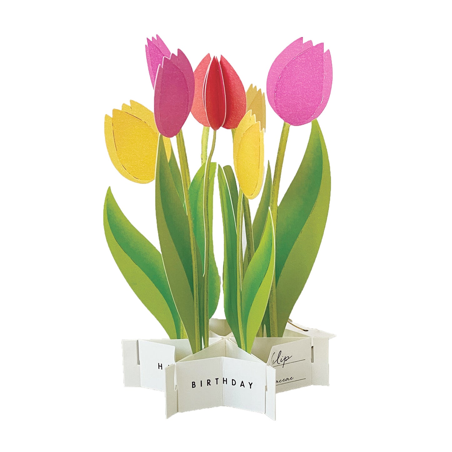 Pop-up 360 Blooming Card Tulip