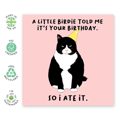 Little Birdie Birthday Cat Card